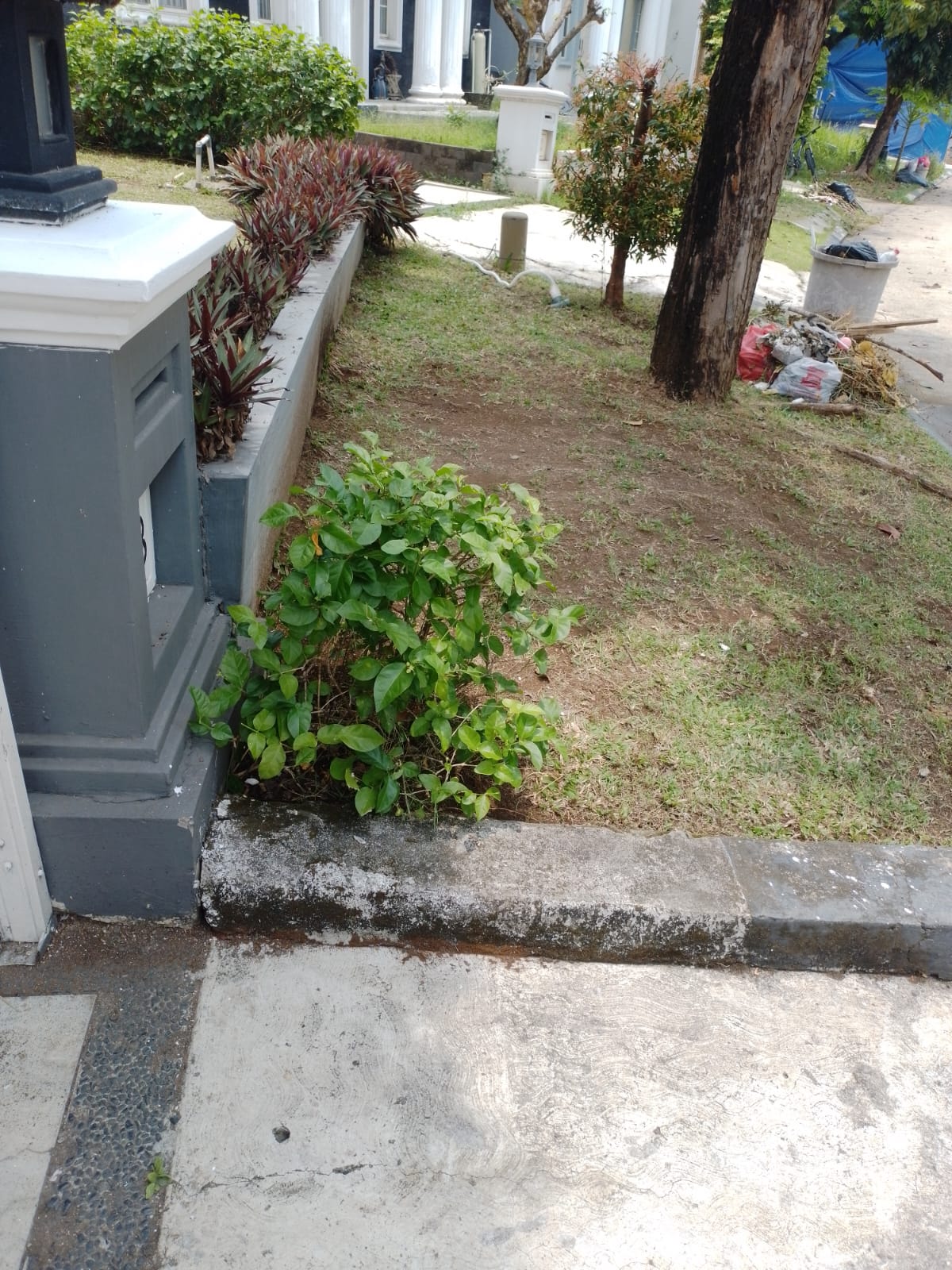 Disewakan Rumah di Cluster Oakwood Lippo Cikarang